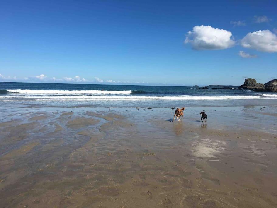 St Agnes Perfect Location, Hot Tub, Sea Views, Gym Appartamento Esterno foto